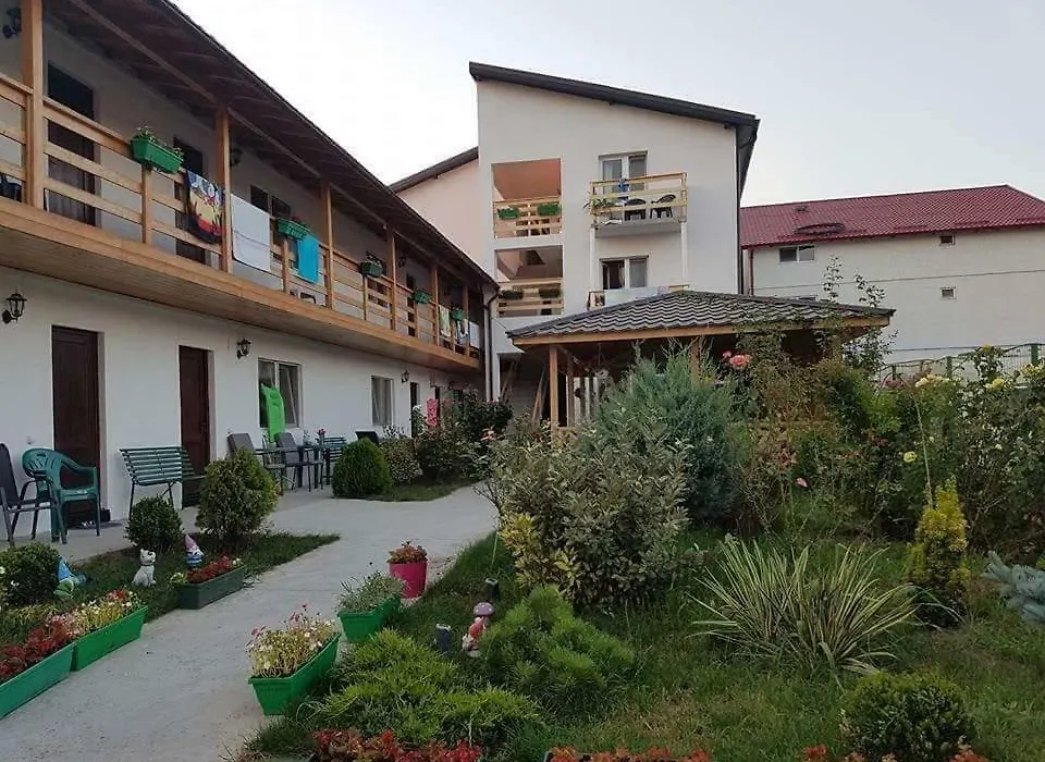 La Nașa Costinești-1